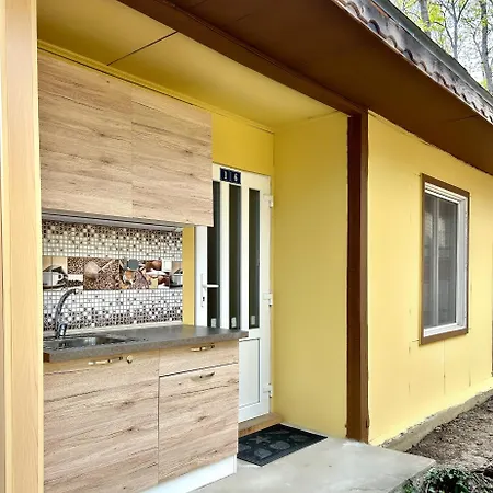 мишел * Varna