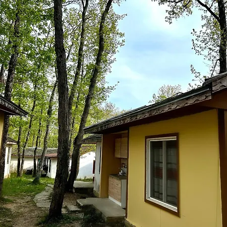 Camping мишел